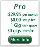 Pro Web Site - 29.95 per month, 500 megs, 10 gigs