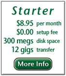 Starter Web Site - 8.95 per month, 50 megs, 2 gigs